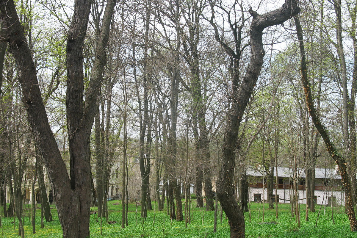 Mănăstirea Miclăuşeni, un loc de tihnă în mijlocul naturii