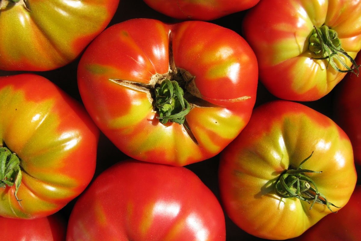 Consumul de tomate scade riscul accidentelor vasculare