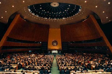 România votează la ONU împotriva valorilor tradiţionale