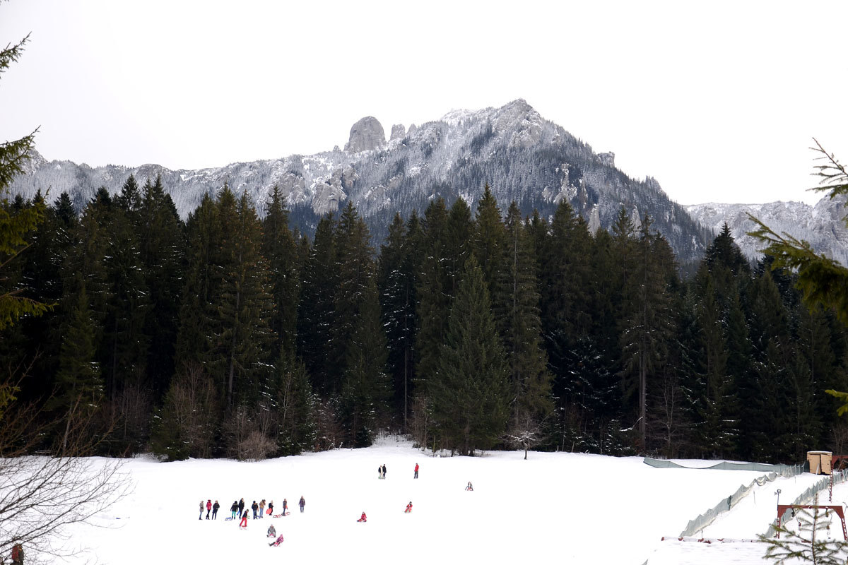 Vacanţă de neuitat în tabăra „Floare de colţ“