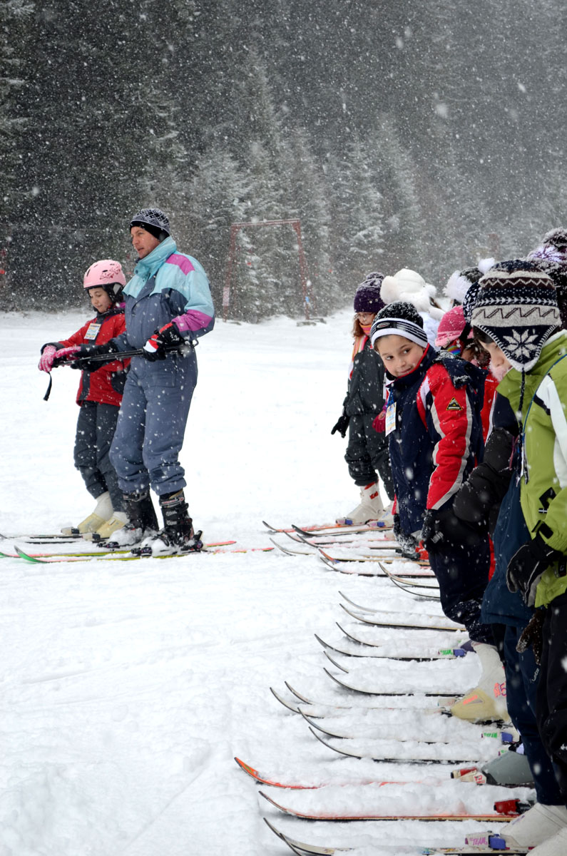 Vacanţă de neuitat în tabăra „Floare de colţ“