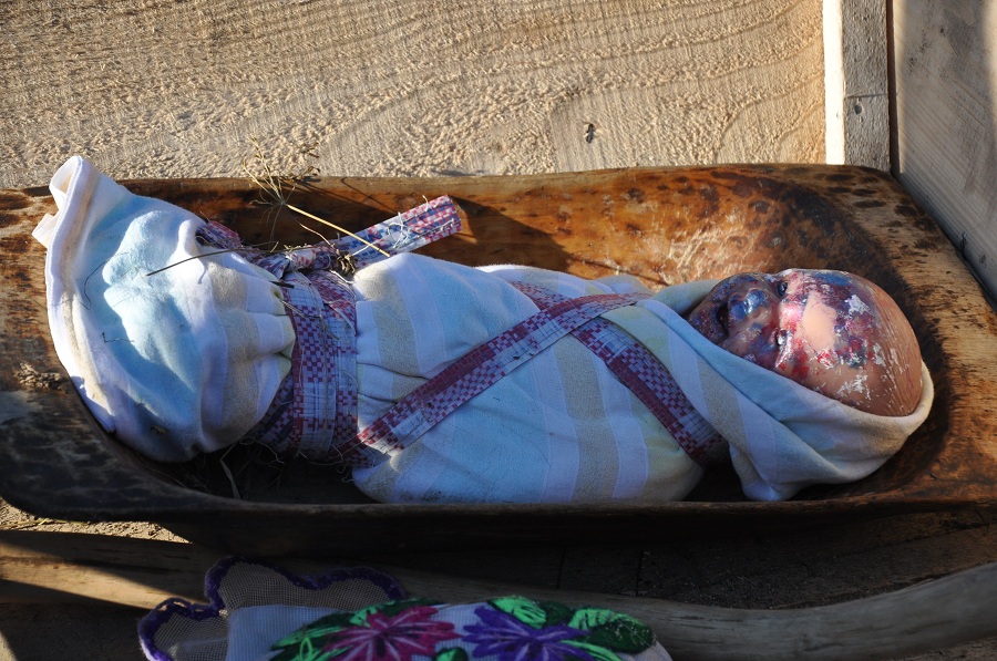 &quot;Malanca lui Ştefan cel Mare&quot;, la Vicovu de Sus