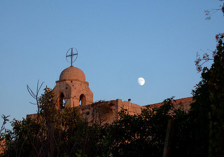 Sesiunea Sfântului Sinod al Bisericii Ciprului