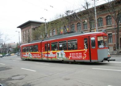 Cum mi-am regăsit neamul