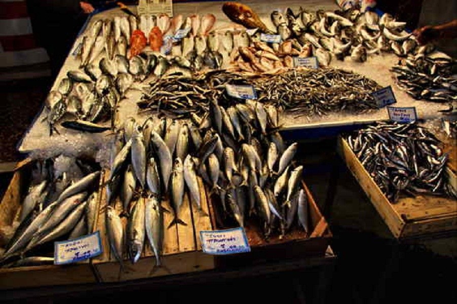 O tarabă numită univers