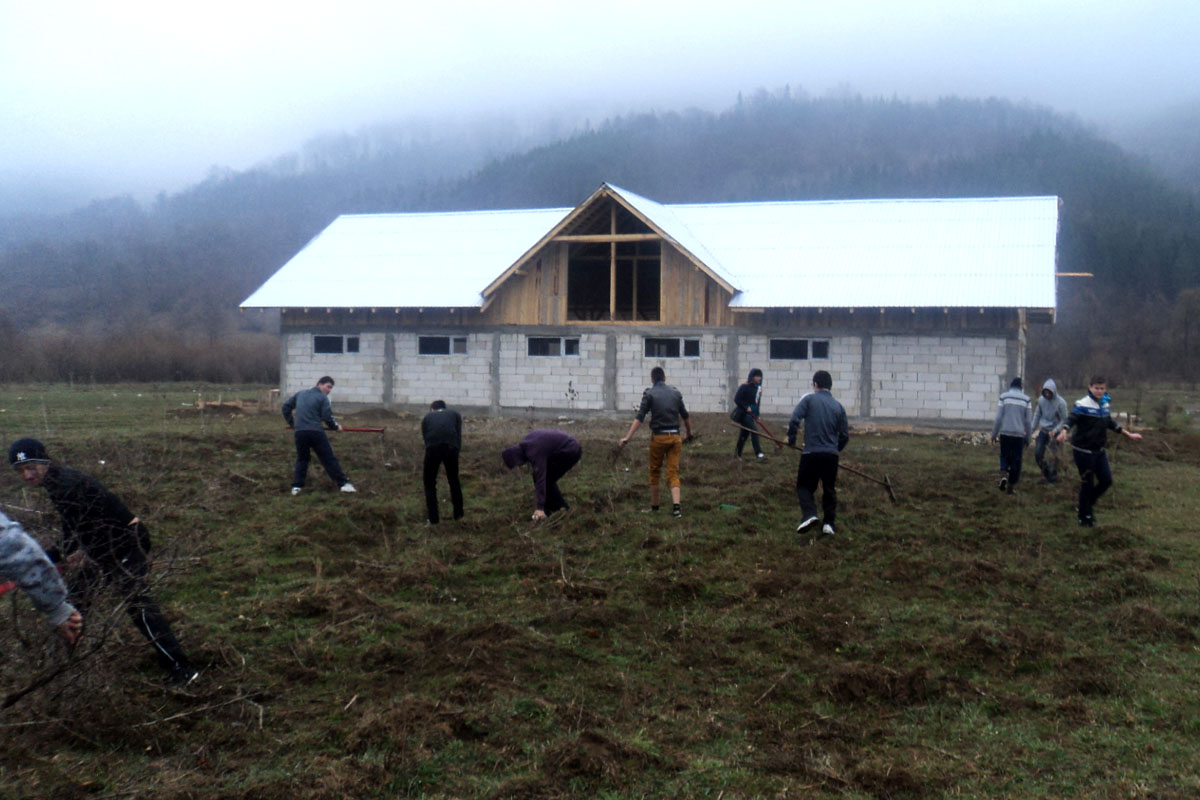 Voluntariat la Centrul rezidenţial Hârja