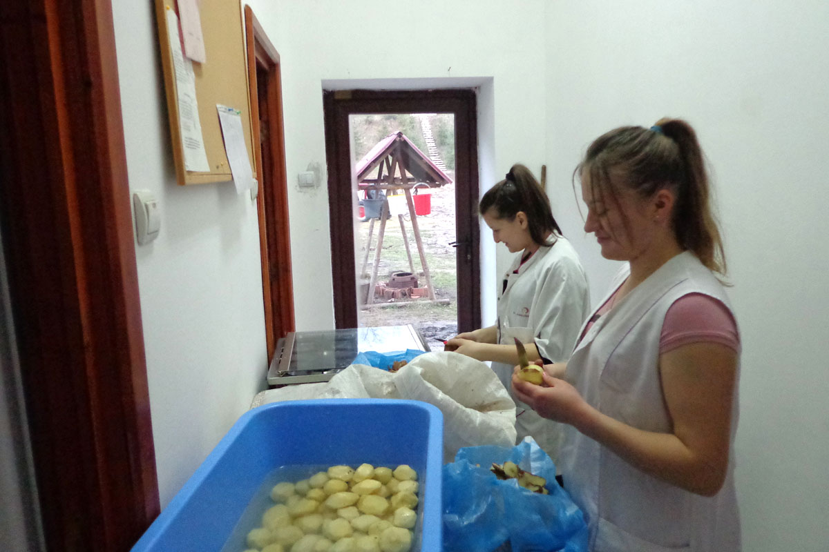 Voluntariat la Centrul rezidenţial Hârja