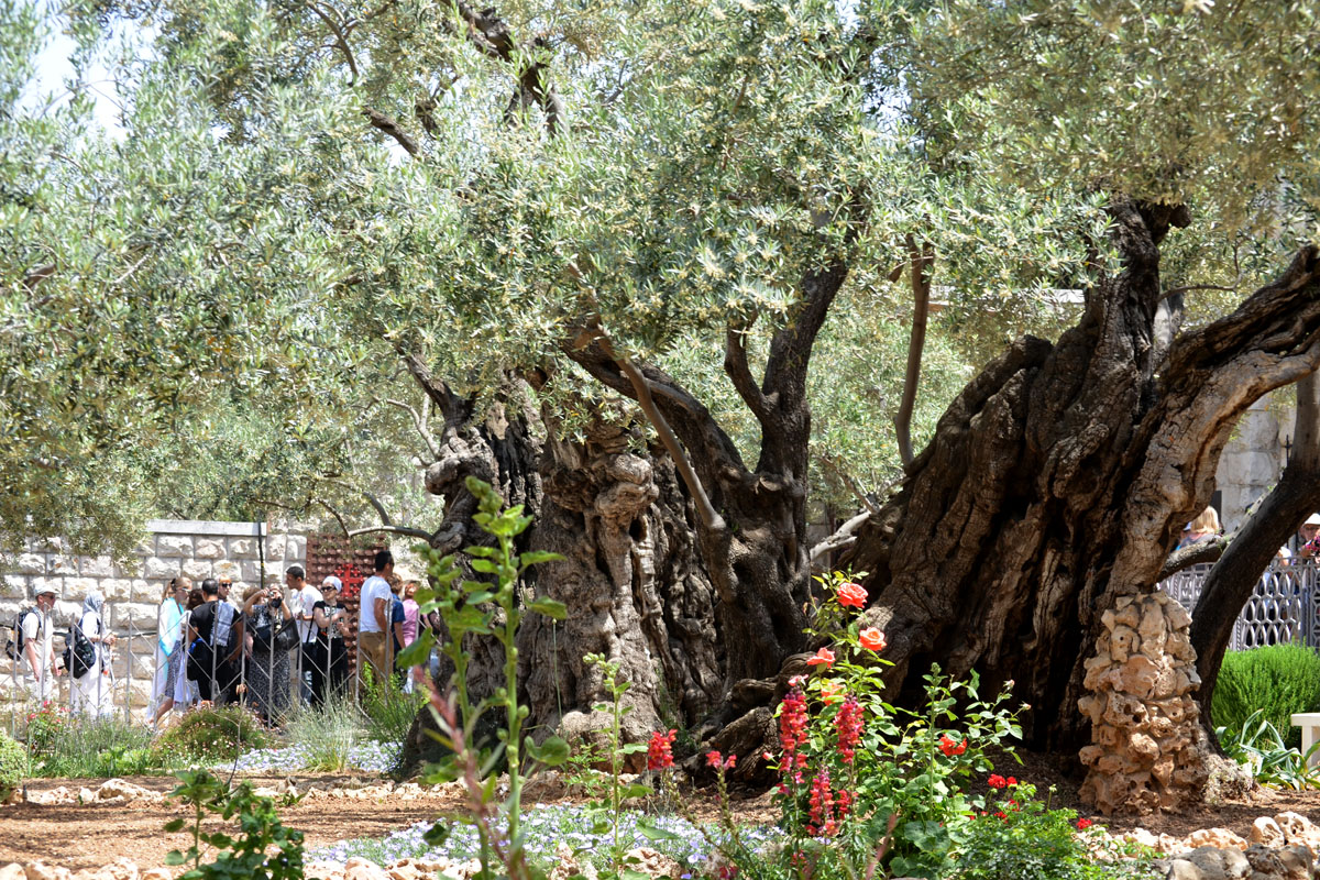 Lumina sfântă de la Ierusalim
