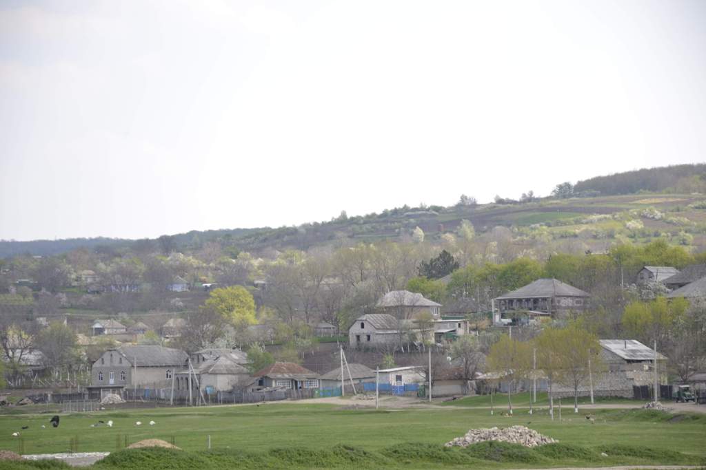 “În Basarabia totul se mai menţine doar prin entuziasm”