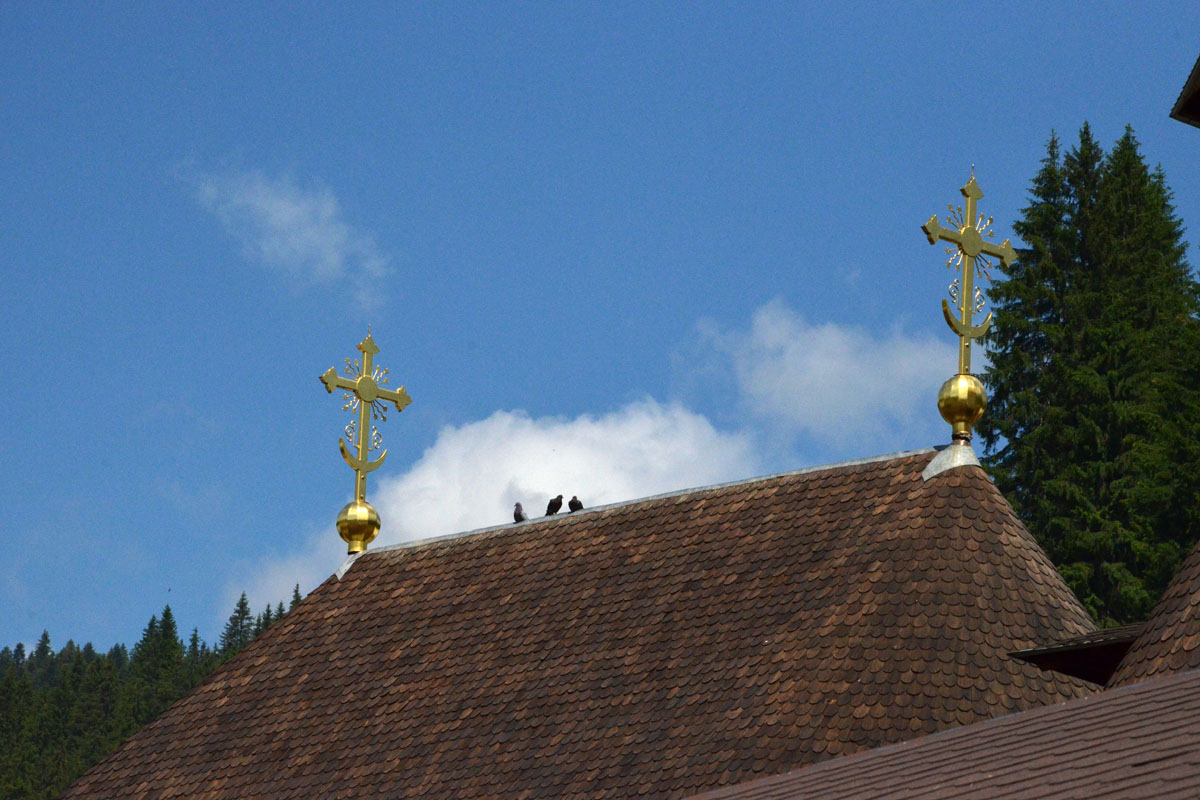 Îi şade mai bine în icoană