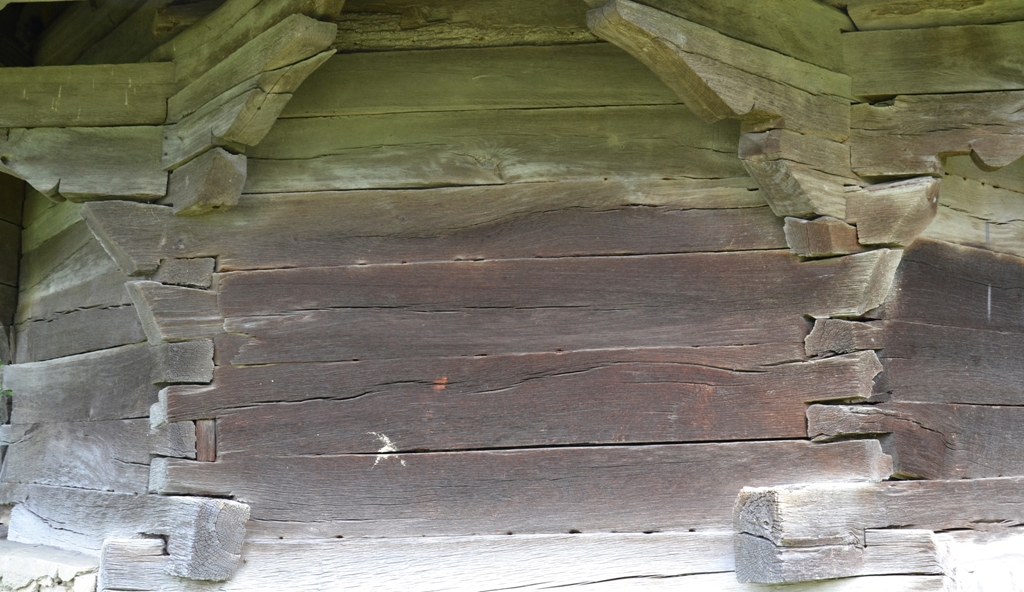 “Călătoarea” de la Corjăuţi