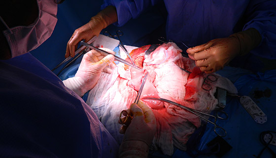 Pacient: Occidentul. Diagnostic: cancer cu metastaze