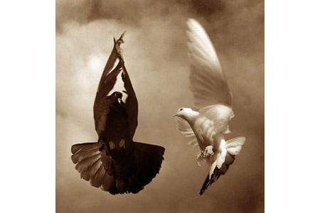 Lupta cu mine însumi Lupta cu mine însumi