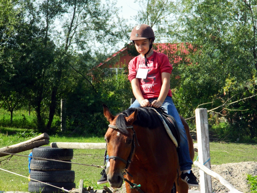 Jurnal de tabără - „Izvoarele bucuriei” (14-20 iulie 2013)