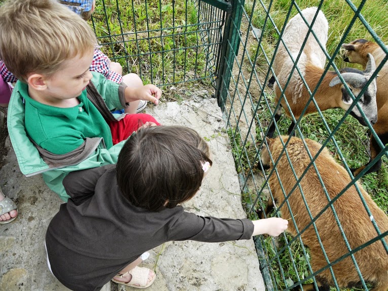 Vară plină de activităţi pentru cei mici