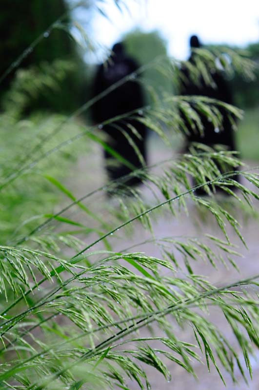 Ce aduce harul pocăinței și al smereniei?