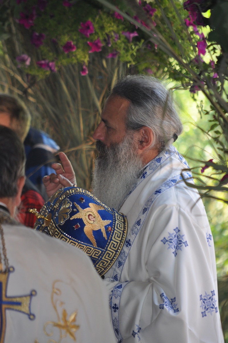 „Sfinții sunt brațele împrumutate ale lui Hristos Domnul care binecuvintează lumea”