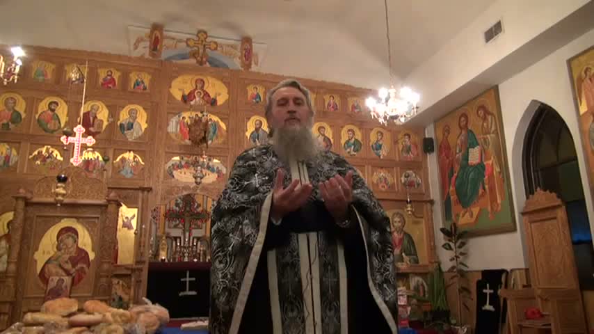 (Video) Pr. Prof. Dr. Vasile Mihoc – Taina Mărturisirii (2)