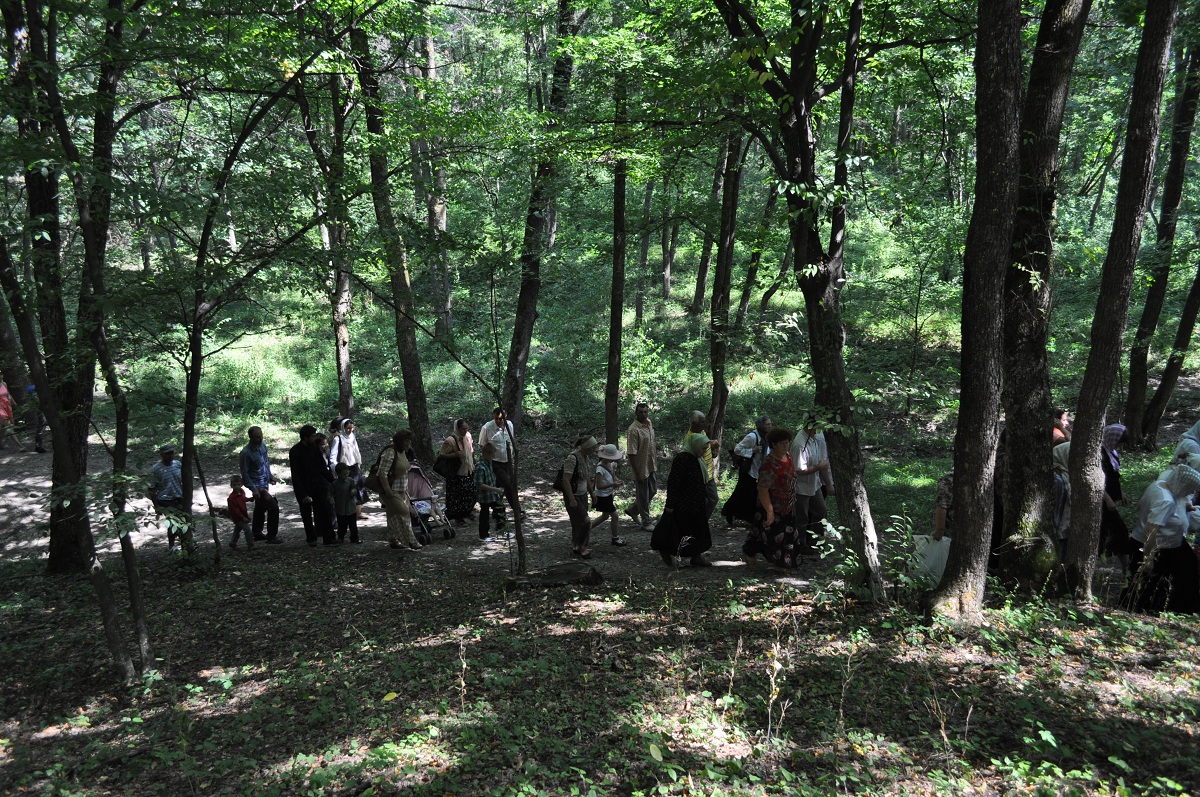 „Sfinții sunt brațele împrumutate ale lui Hristos Domnul care binecuvintează lumea”