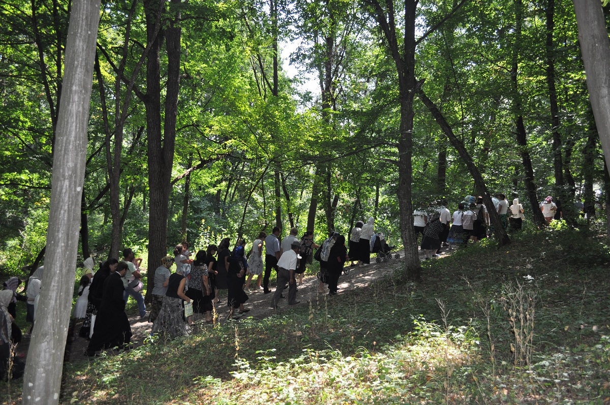 „Sfinții sunt brațele împrumutate ale lui Hristos Domnul care binecuvintează lumea”