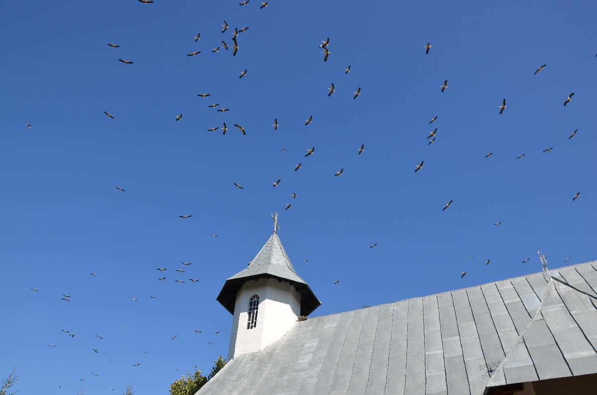 Sfinţire de biserică şi de casă socială în parohia Rediu Scânteii