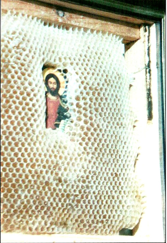 Cinstea albinelor față de Sfintele icoane