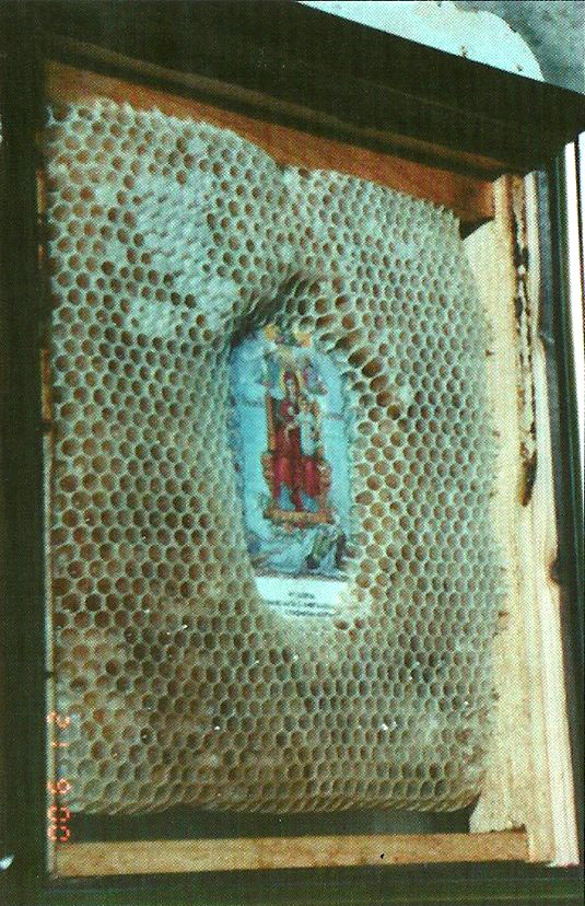 Cinstea albinelor față de Sfintele icoane