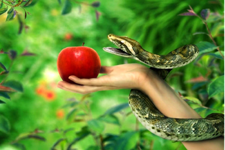 Poate îngădui Dumnezeu să cădem în păcat?