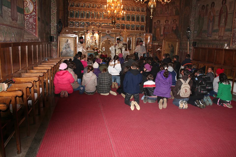 Verde la SOCIalizare