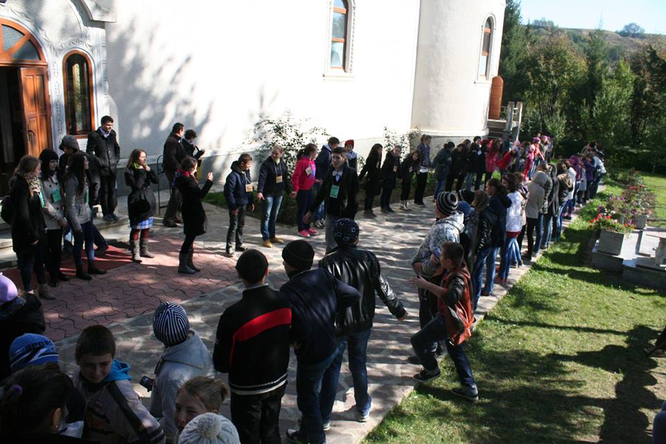 Verde la SOCIalizare