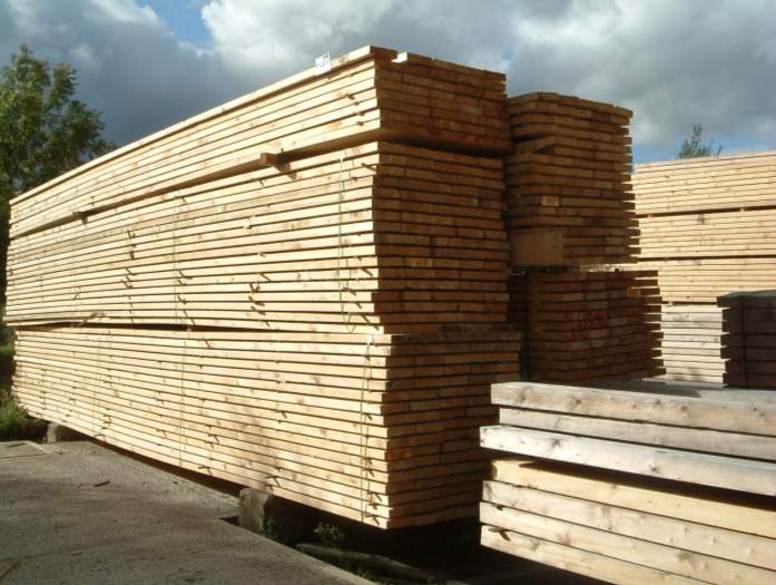 Aproape 1.4 miliarde de lei încasați de România în 2012 din exploatarea lemnului