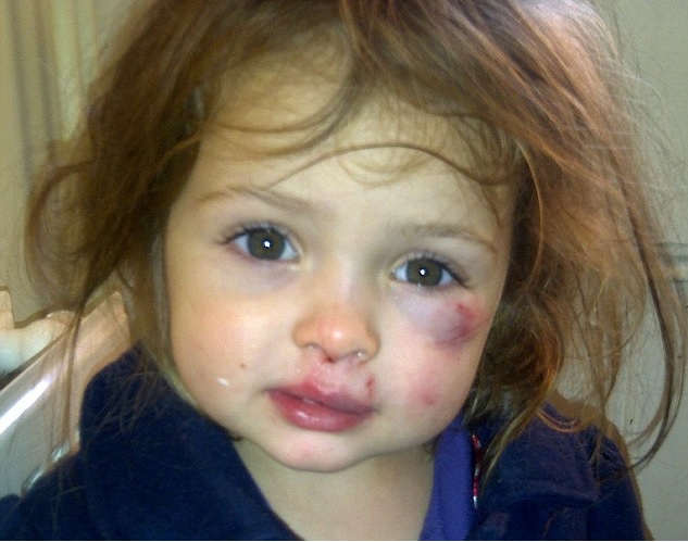 Dezbaterea cu tema &quot;Abuzurile asupra copiilor&quot;, miercuri, la Palatul Parlamentului