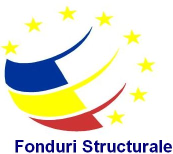 Peste 200 de milioane de euro absorbiți de România prin fonduri structurale și de coeziune