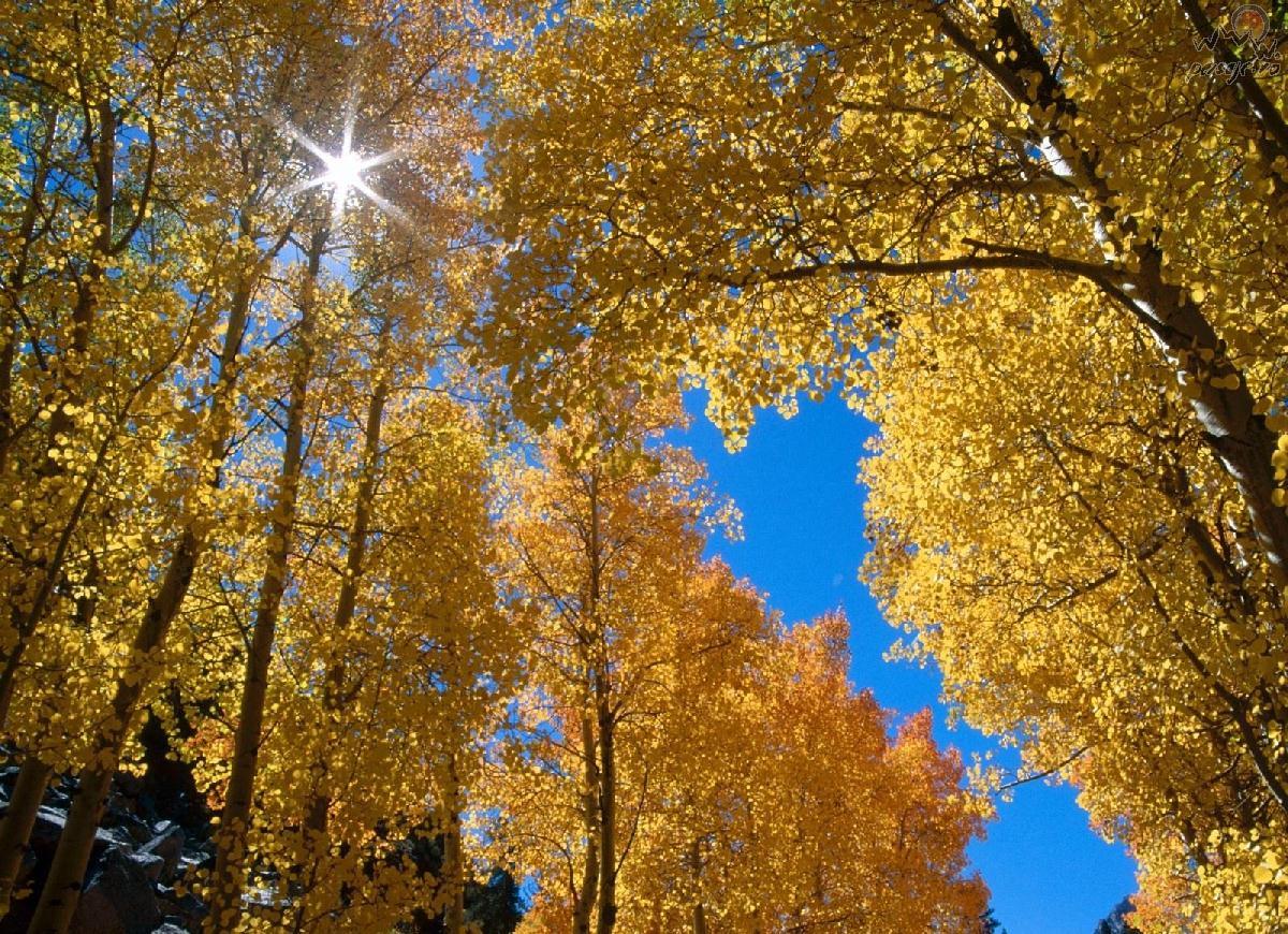 Toamnă caldă, în continuare, anunță ANM