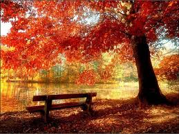 Vom avea din nou vreme caldă