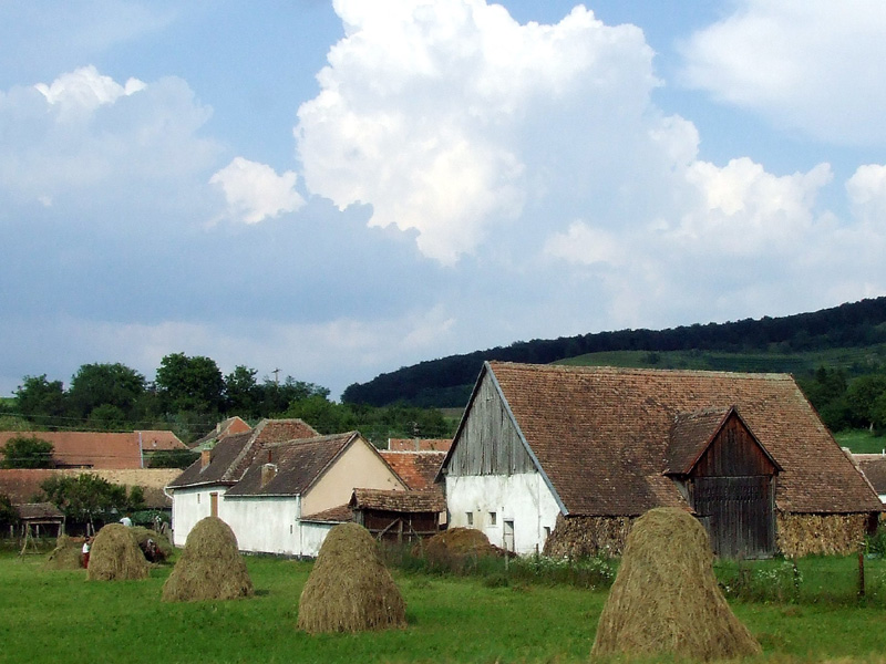 Programul de dezvoltare rurală din România este ineficace