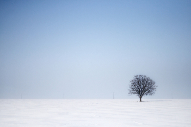 (Audio) Tudor Gheorghe - Senin de iarnă