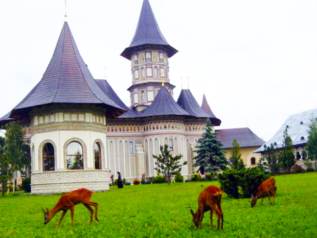 (Audio) Mănăstirea Cămârzani - Bună seara