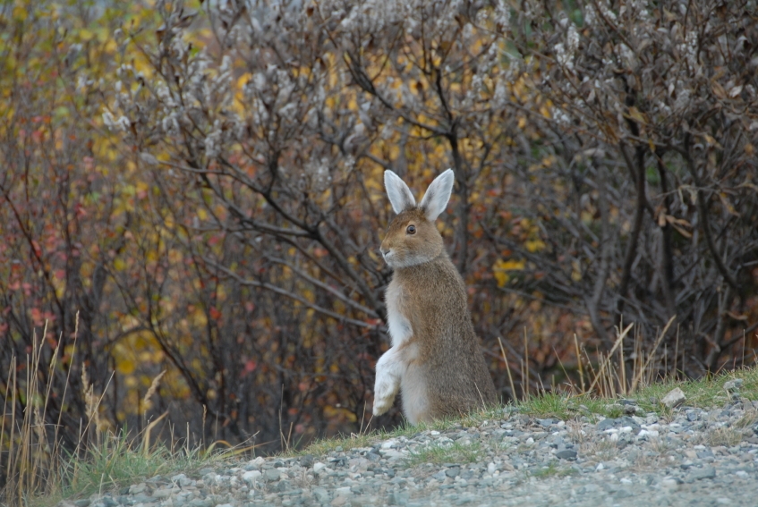 Vreme caldă pentru următoarele două săptămâni, cu precipitații mixte sporadice