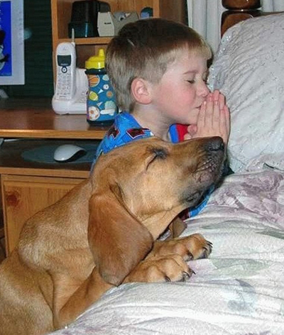 „Sângele creştinilor nu este mai valoros decât sângele câinilor”!