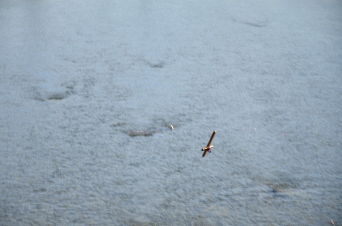 Sfinţirea Apei celei Mari în oraşul Comăneşti