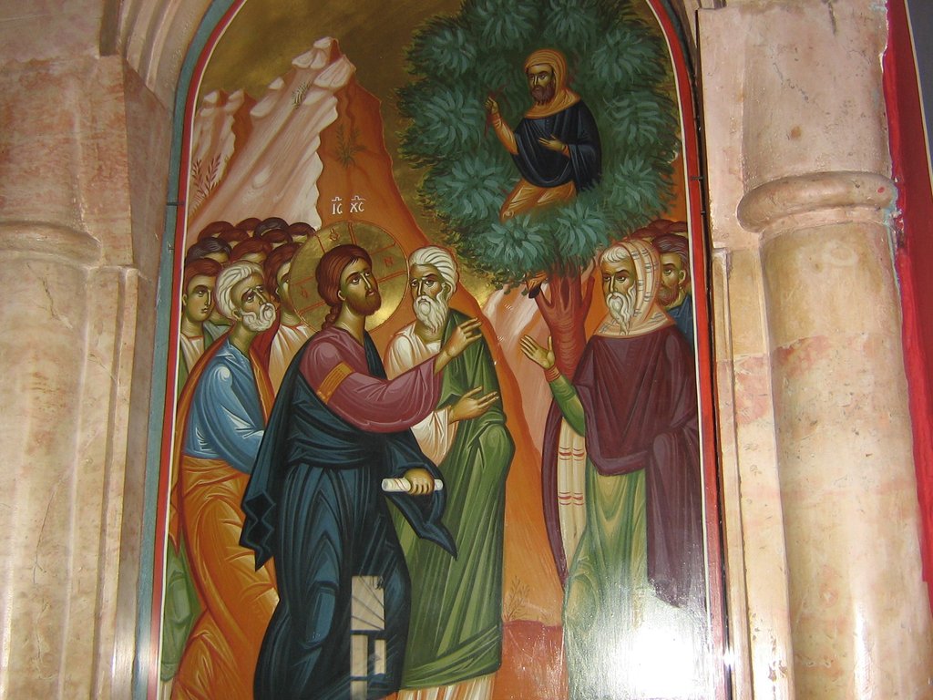 Zaheu sau mântuitoarea curiozitate