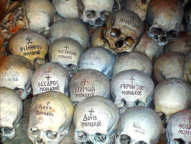 Lumea este pomul cunoştinţei binelui şi răului