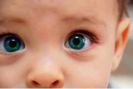 „Când începe viaţa omului?” „Când începe viaţa omului?”