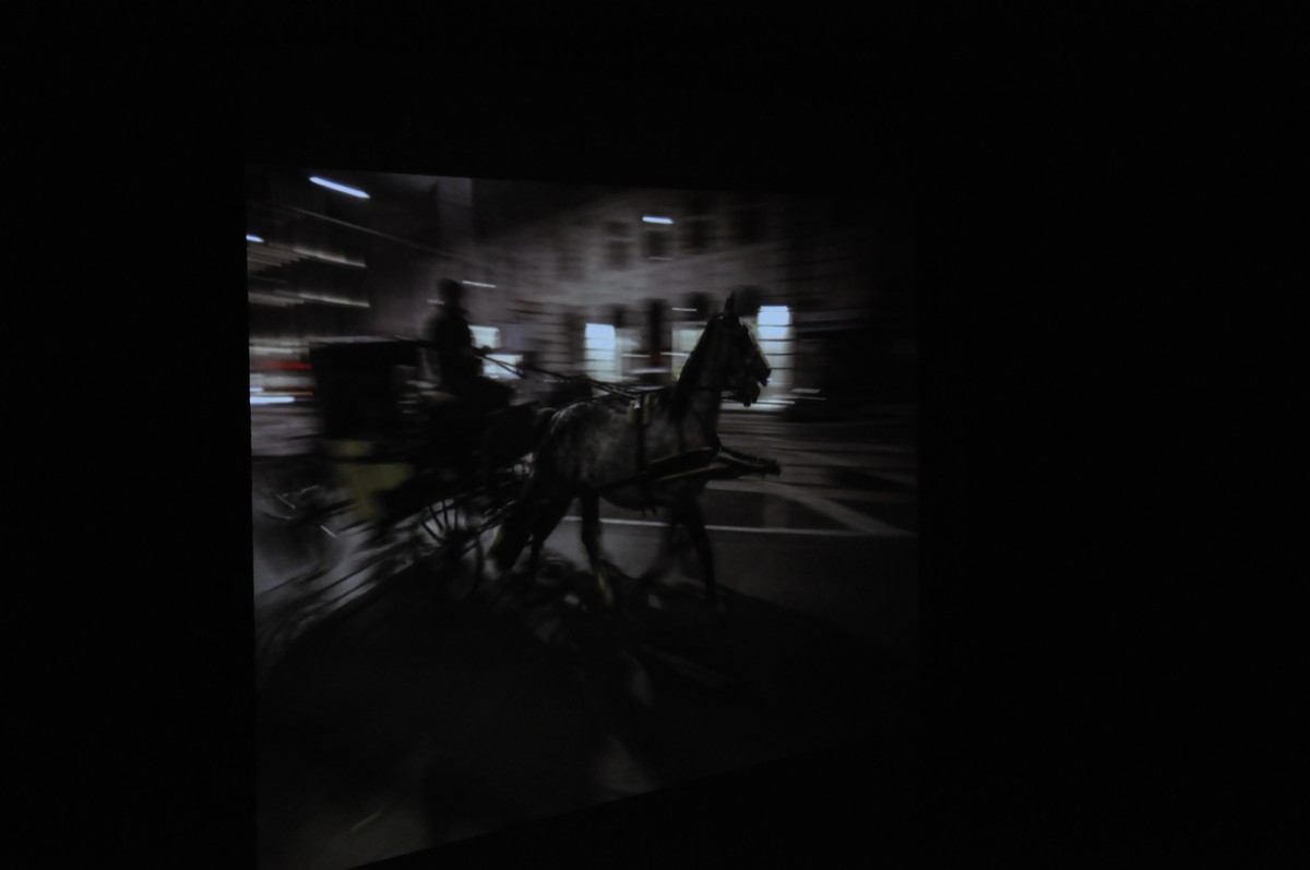 &quot;Clubul Fotografilor este un mod de a descoperi arta fotografică&quot;