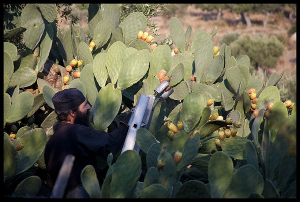 Să avem dragoste, pentru a ne putea mântui