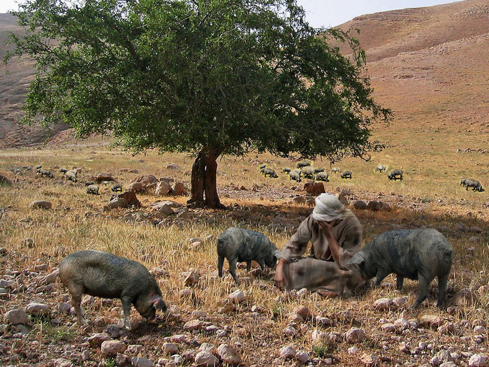 Locuitorul este stăpânitorul acestei lumi
