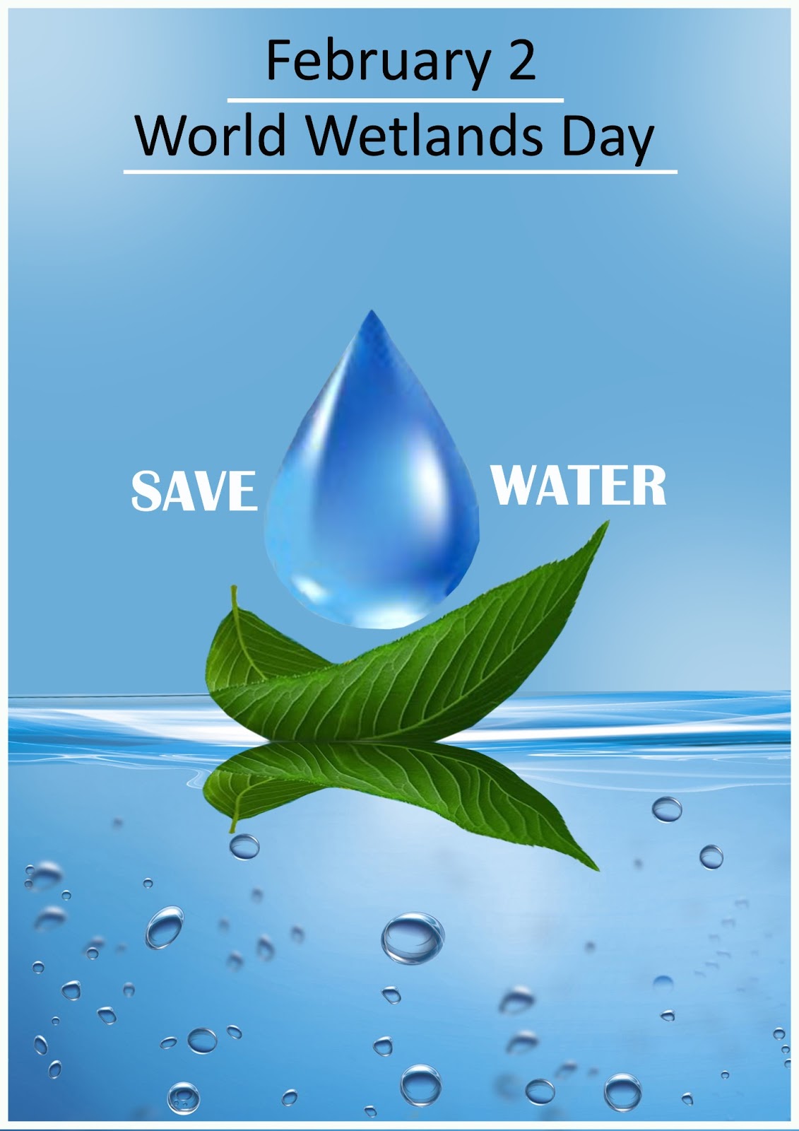 Ziua Mondială a Zonelor Umede - 2 februarie