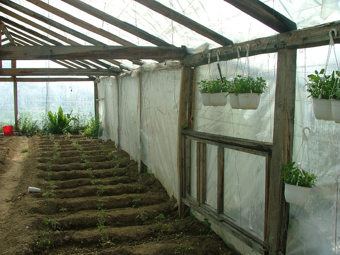 Schitul Oituz – Altarul din locul bătăliei primului război mondial