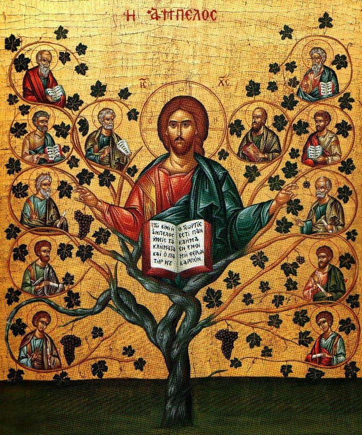 Despre cei ce nu înțeleg